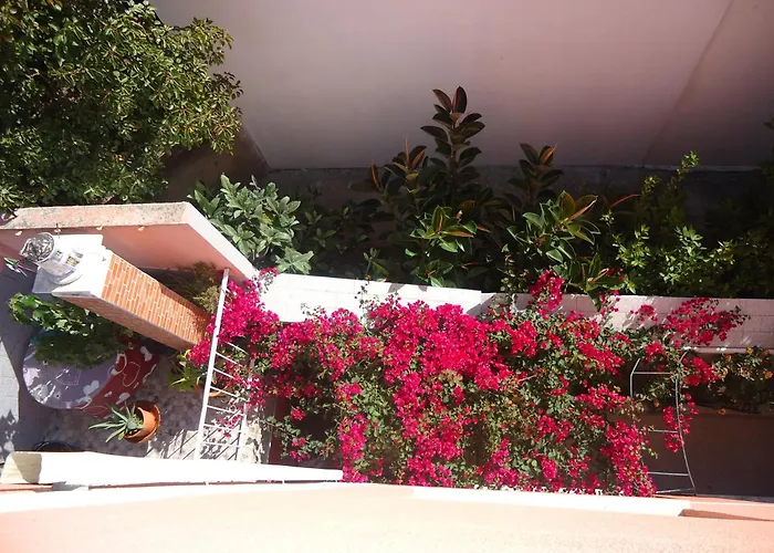 Aviz Figueira da Foz